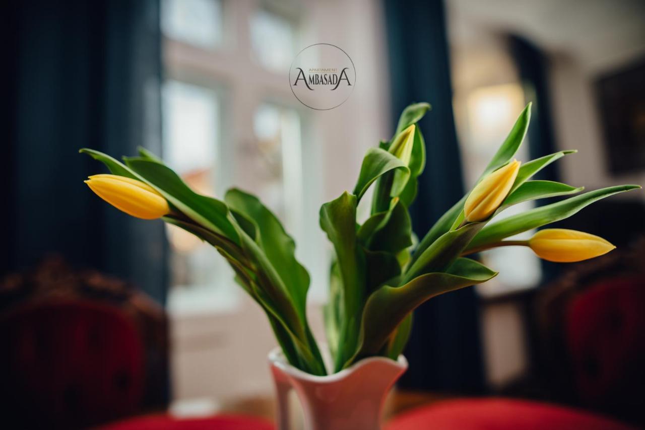 Apartament Ambasada Zamosc  Ngoại thất bức ảnh
